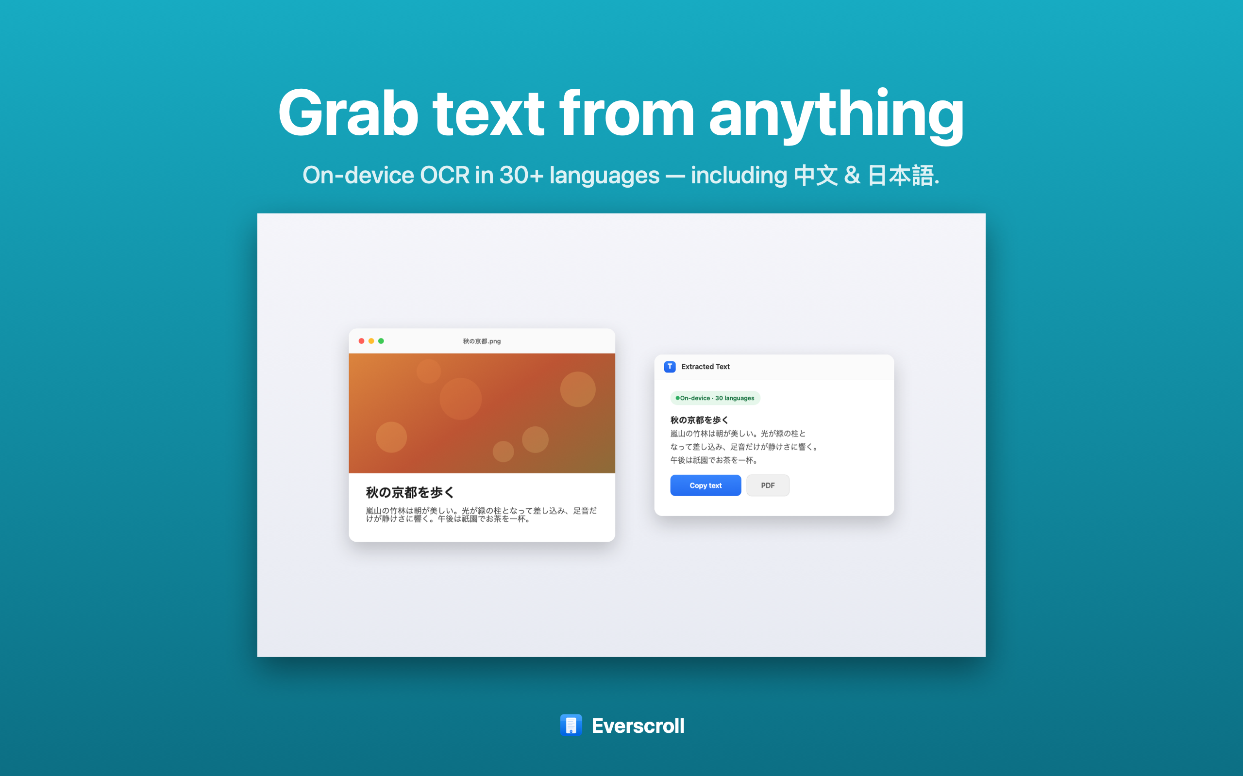 Everscroll extracting text from a screenshot on Mac